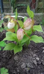 20120513_105524.webp