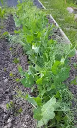 20120514_194257.webp