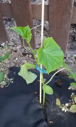 20120514_194212.webp