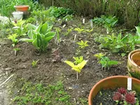IMG_8192_1024x768.webp