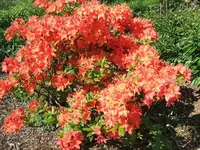 2012_0514mai120001.webp