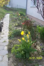 100_3025_2_1.webp