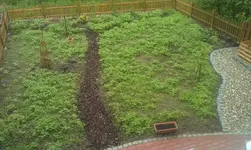 IMAG0231.webp