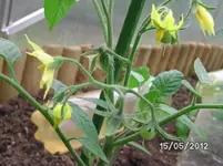 BILD0138.webp