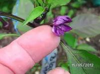 BILD0140.webp