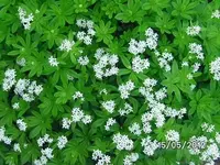 BILD0143.webp