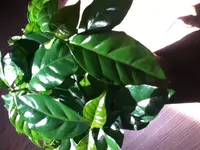 IMG_2004.webp IMG_2004.webp