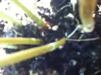 IMG_2006.webp IMG_2006.webp