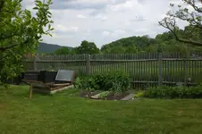 Garten 05 2012 3 002.webp