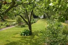 Garten 05 2012 3 004.webp