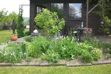 Garten 05 2012 3 007.webp