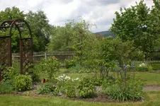 Garten 05 2012 3 008.webp