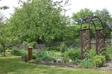 Garten 05 2012 3 009.webp