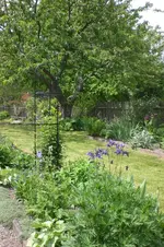 Garten 05 2012 3 011.webp