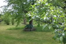 Garten 05 2012 3 012.webp