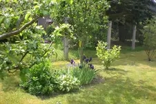 Garten 05 2012 3 013.webp