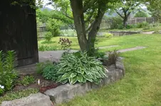 Garten 05 2012 3 015.webp