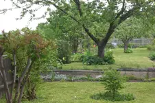 Garten 05 2012 3 017.webp