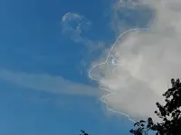 309Wind.webp