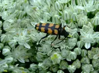 015 10.07.11.webp