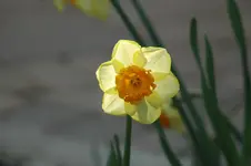 DSC_0003.webp