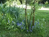 BILD1375.webp