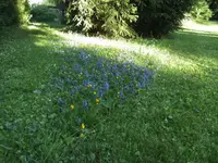 BILD1376.webp