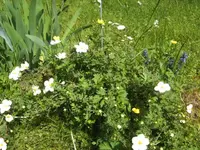 BILD1410.webp