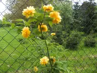 BILD1392.webp
