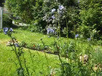 BILD1415.webp