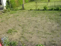 Rasen1.webp