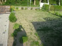 Rasen2.webp