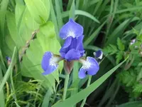 021.webp