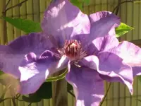 016.webp