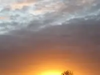 Bild 729.webp