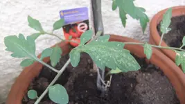 DSCF5847.webp
