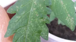 DSCF5850.webp