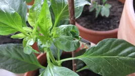 DSCF5857.webp