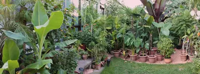 unser kleiner Garten.webp