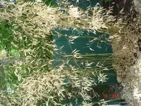 DSC08481.webp