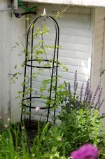 20120517-160425-MIO_4311.webp