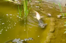 20120517-185313-MIO_4315.webp