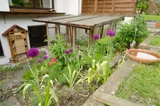 20120517-185602-MIO_4333.webp