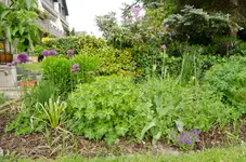 20120517-185611-MIO_4334.webp