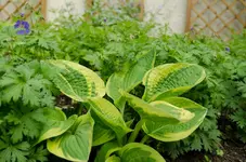 20120517-185708-MIO_4343.webp