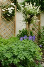 20120517-185721-MIO_4345.webp