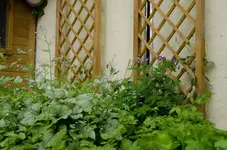 20120517-185737-MIO_4348.webp