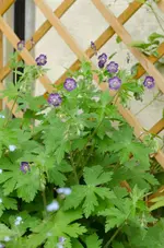 20120517-185754-MIO_4351.webp