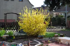 16.04.2011_2.webp