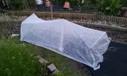 20120516_212823.webp